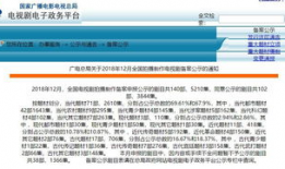 电视剧备案公示查询,热门剧集背后的故事与悬念